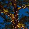 Guirnalda solar 100 Luces Led