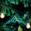 Pack Guirnalda Deco Exterior con 7 Ampolletas LED 4W